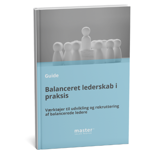 Balanceret Lederskab I Praksis Mockup