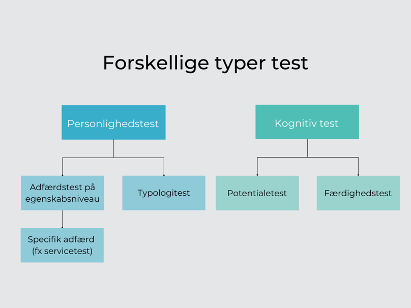 oversigt over testtyper